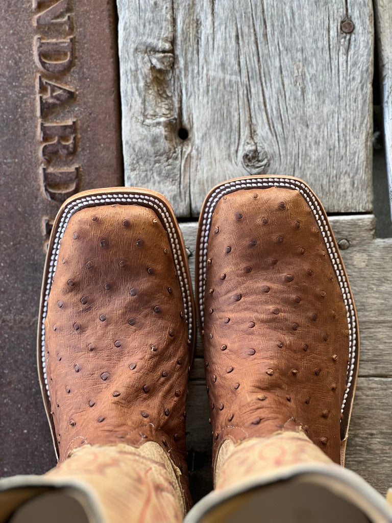 Toe View Anderson Bean |Oryx Lux Full Quill Ostrich Boot