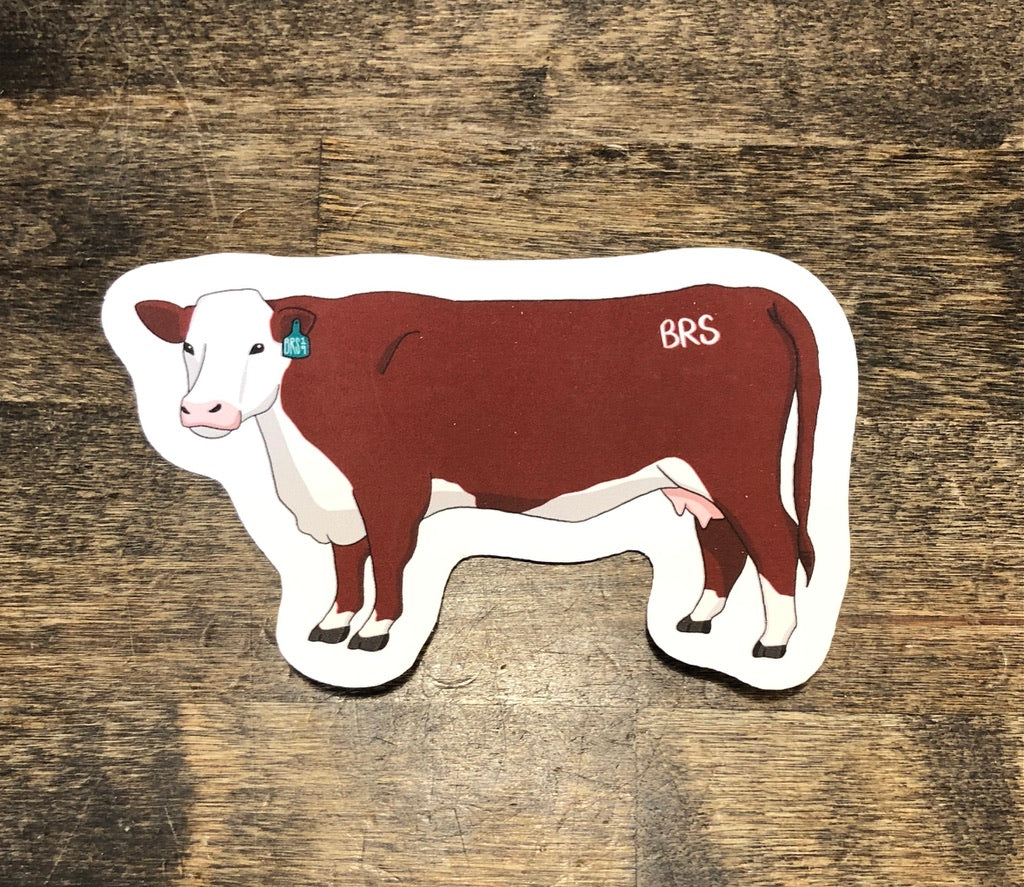 Hereford cow sticker